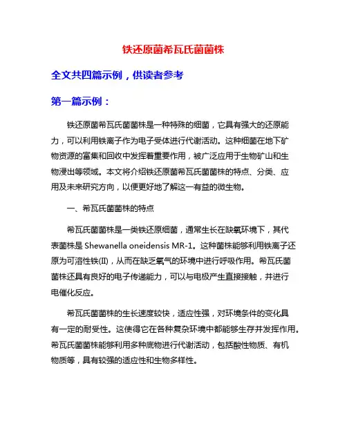 铁还原菌希瓦氏菌菌株