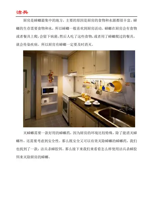 厨房有蟑螂用什么药