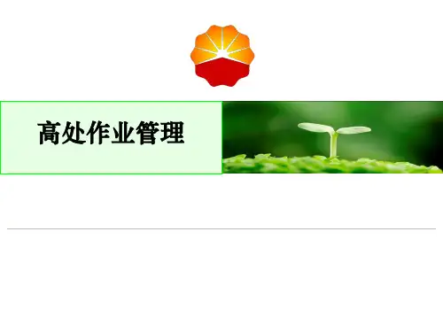 中石油高危作业系列：高处作业管理PPT参考幻灯片