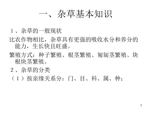 农田杂草识别及防治优秀课件