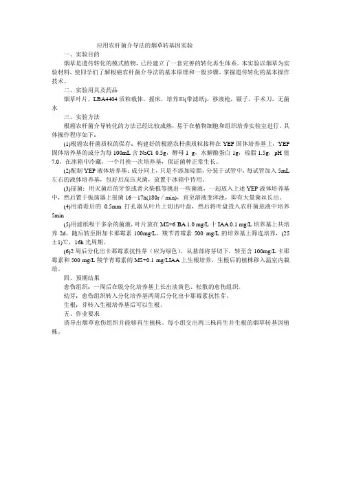 实验5  烟草遗传转化实验2