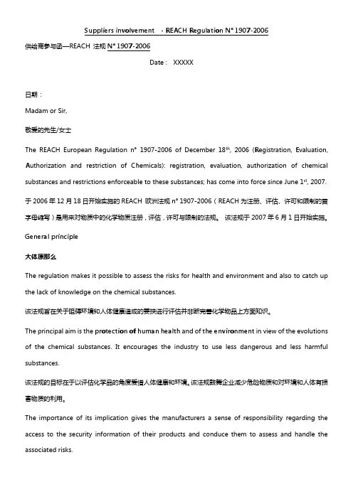 REACH翻译件
