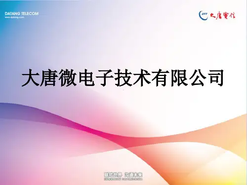 大唐微电子技术有限公司
