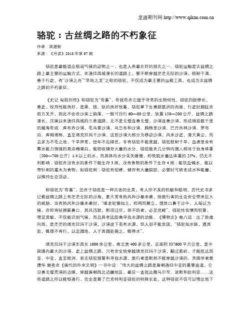 骆驼：古丝绸之路的不朽象征