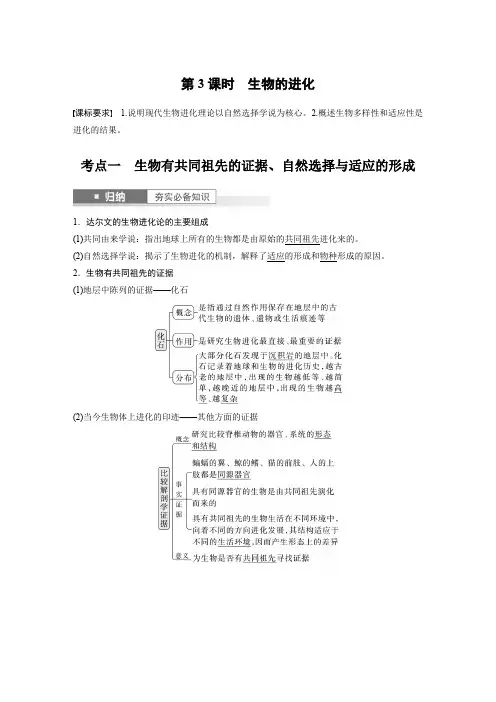 2024届高考一轮复习生物学案(人教版)第七单元生物的变异和进化第3课时生物的进化