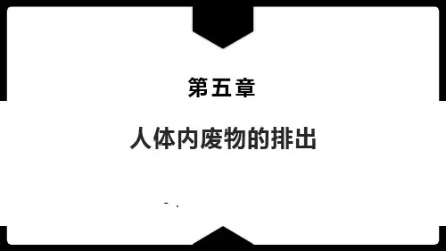 《人体内废物的排出》PPT优质课件