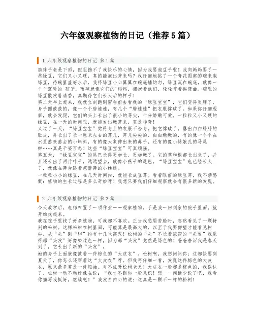 六年级观察植物的日记(推荐5篇)