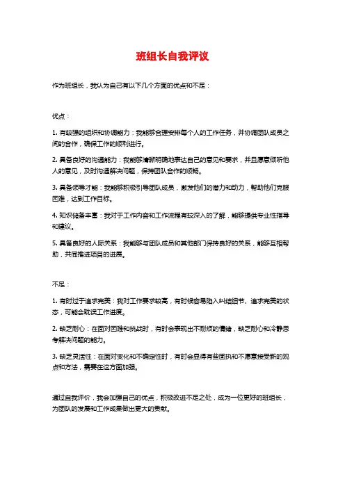 班组长自我评议