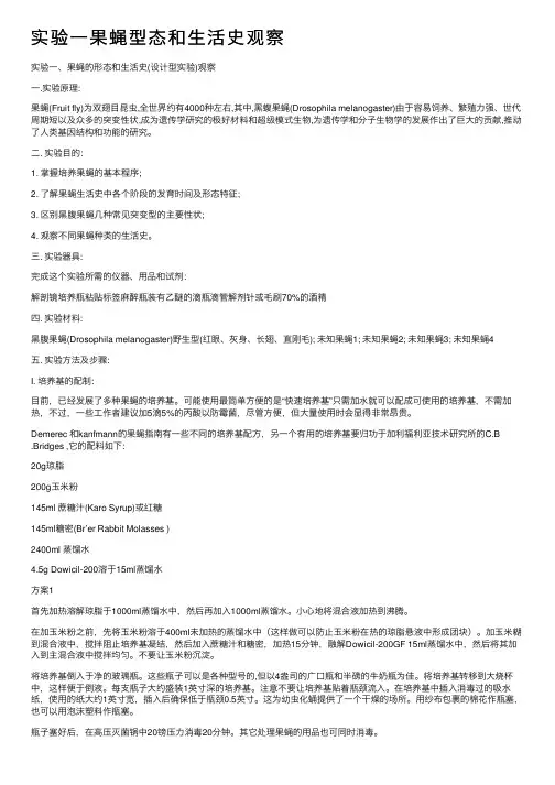 实验一果蝇型态和生活史观察