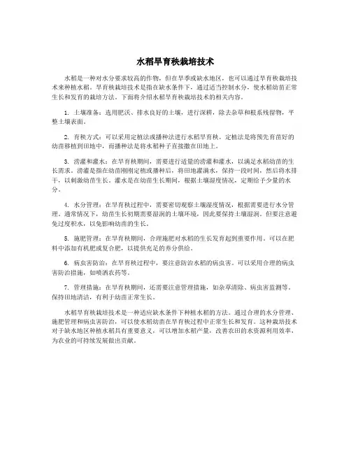 水稻旱育秧栽培技术