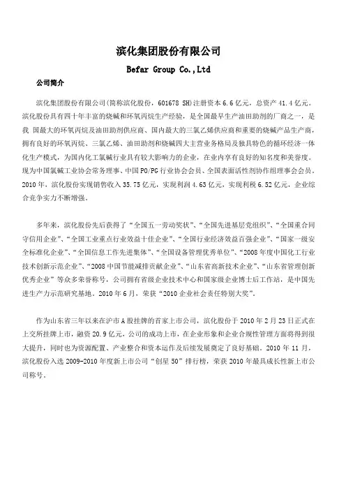 滨化集团股份有限公司