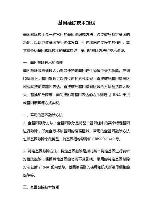 基因敲除技术路线