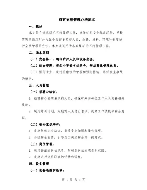煤矿五精管理办法范本