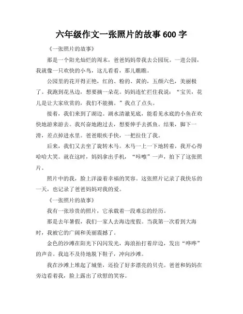 六年级作文一张照片的故事600字