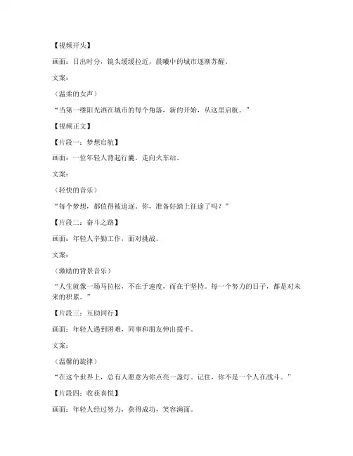 短视频文案脚本案例