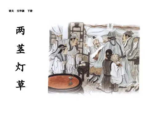 五年级语文下册两茎灯草课件
