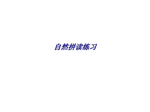 自然拼读练习专题培训课件