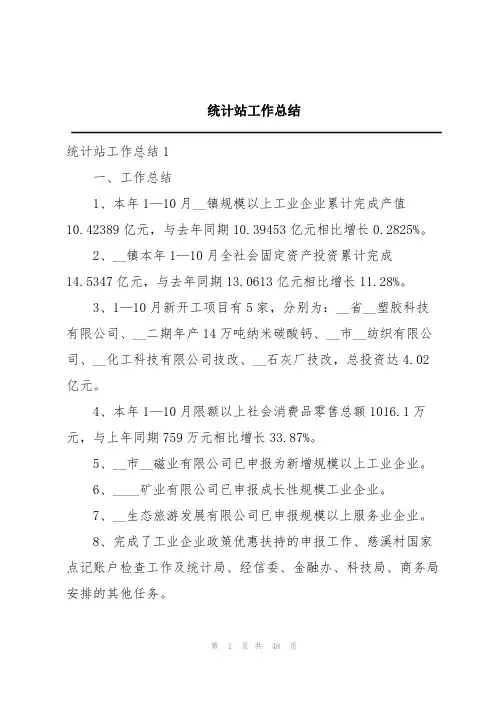 统计站工作总结