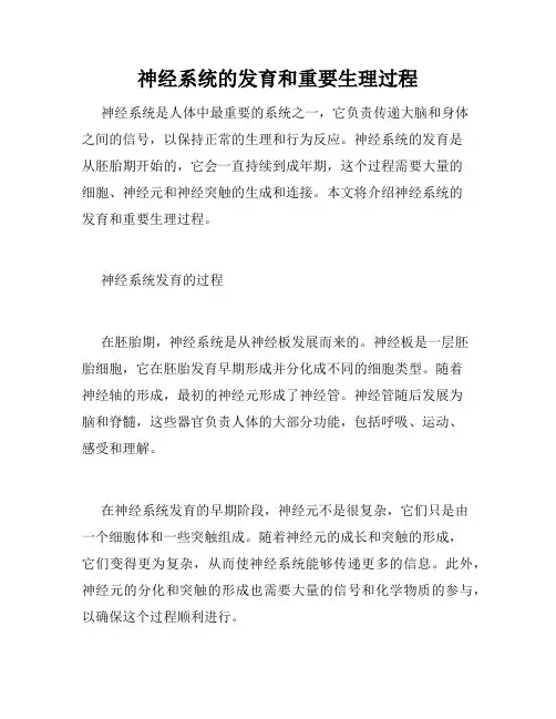 神经系统的发育和重要生理过程