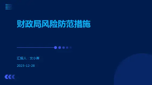 财政局风险防范措施