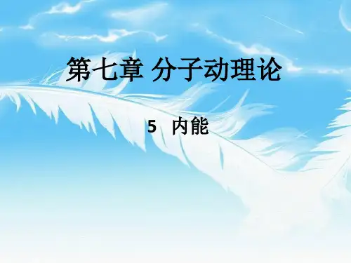 人教版高二物理选修3-3第七章 分子动理论第五节内能教学课件 (共11张PPT)