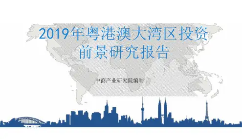 2019年粤港澳大湾区投资前景研究报告
