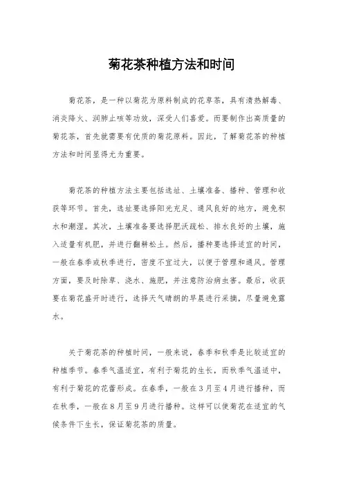菊花茶种植方法和时间