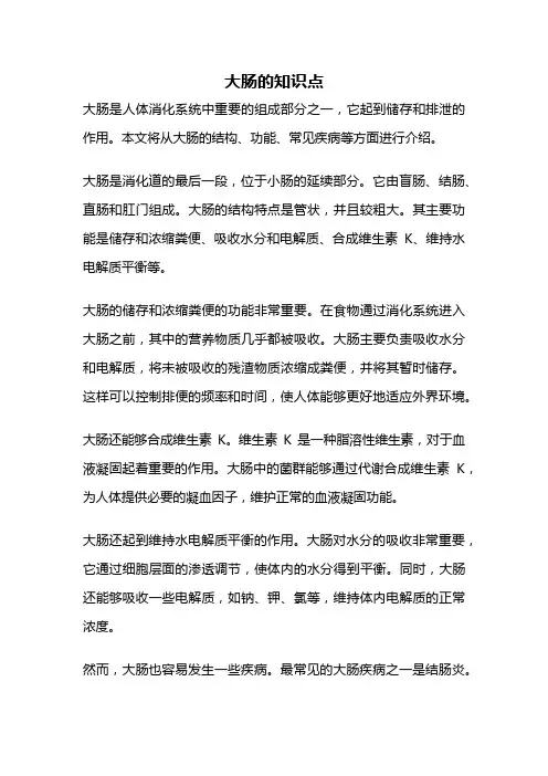 大肠的知识点