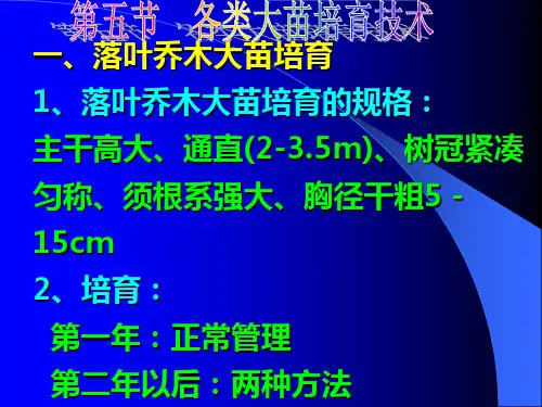 第六章 园林树木的大苗培育第五节  各类大苗培育技术