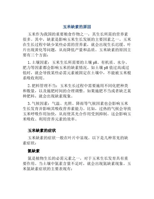 玉米缺素咋防治和治疗