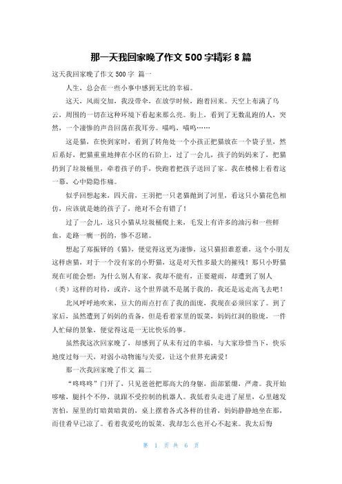那一天我回家晚了作文500字精彩8篇