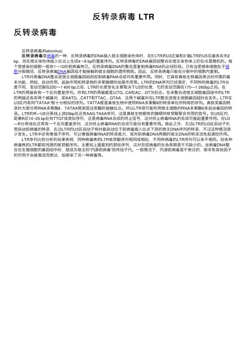 反转录病毒