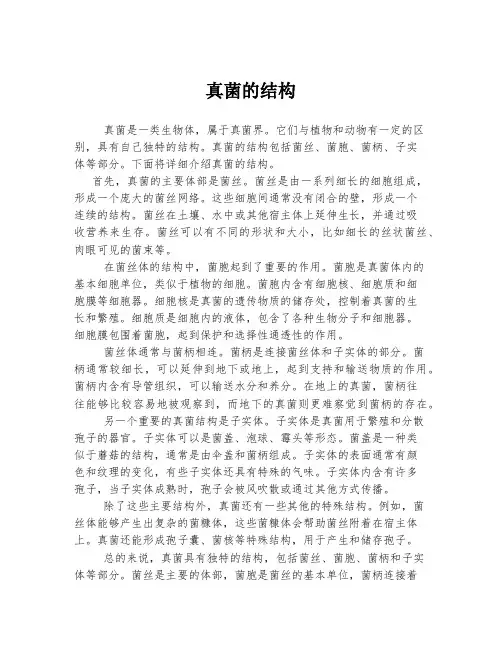 真菌的结构