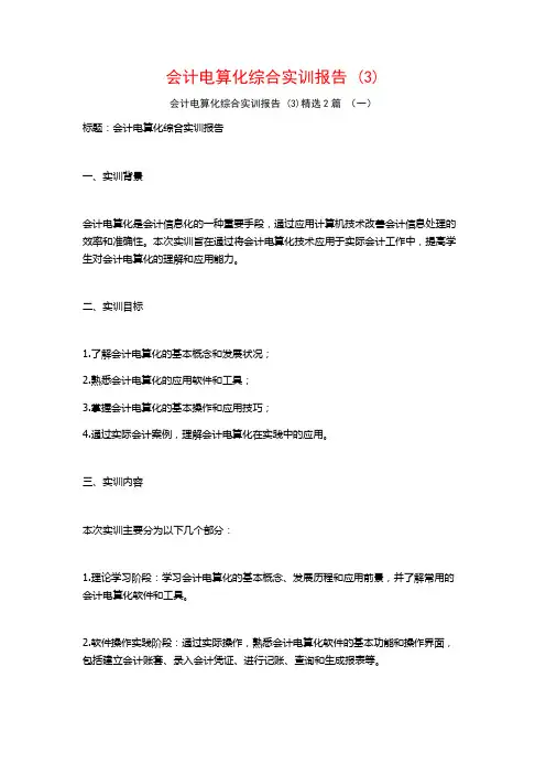 会计电算化综合实训报告2篇2