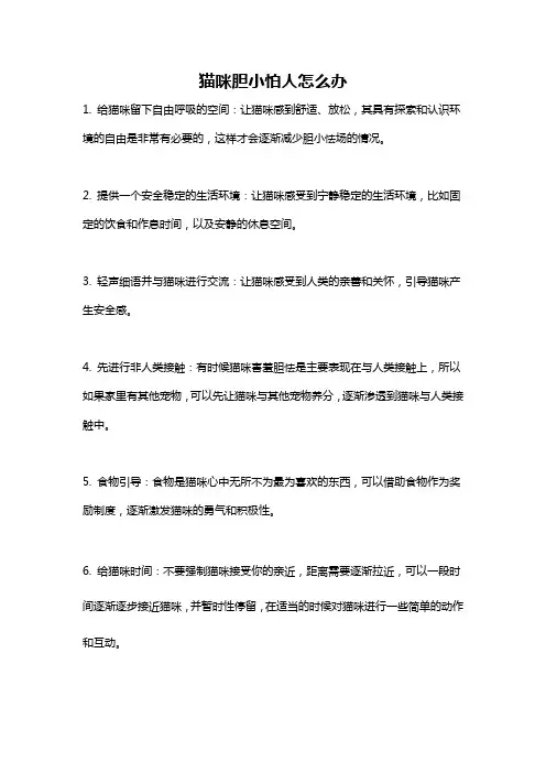 猫咪胆小怕人怎么办