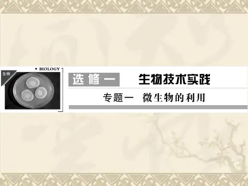 高考生物一轮复习资料 专题一微生物的利用课件 新人教版选修1