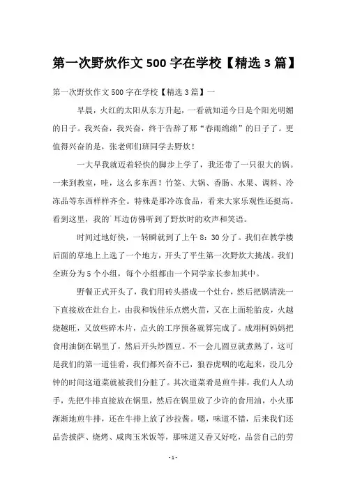 第一次野炊作文500字在学校【3篇】