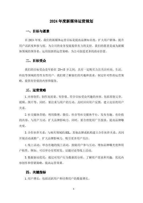 2024年度新媒体运营规划