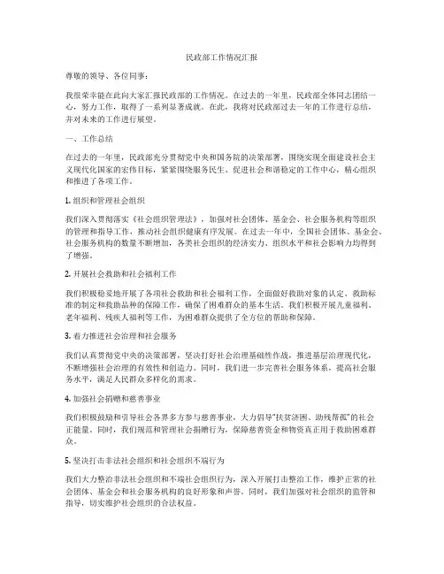 民政部工作情况汇报