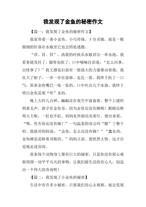我发现了金鱼的秘密作文