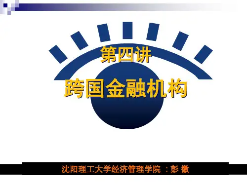 04跨国金融机构