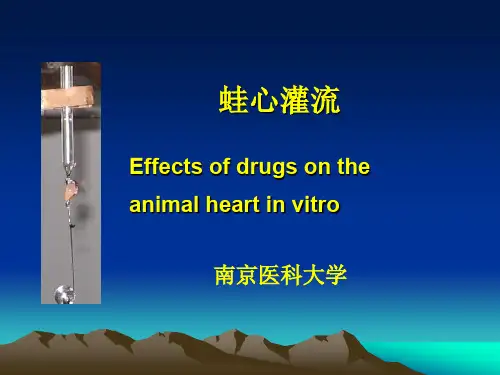 生理学实验PPT蛙心灌流-王课件