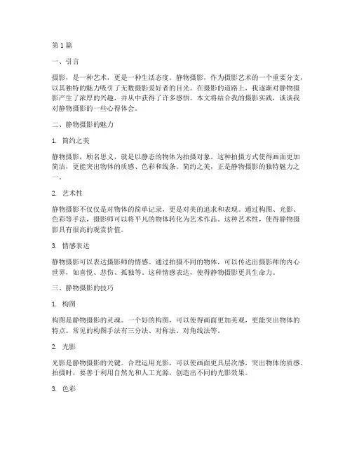 静物摄影感悟心得体会(3篇)