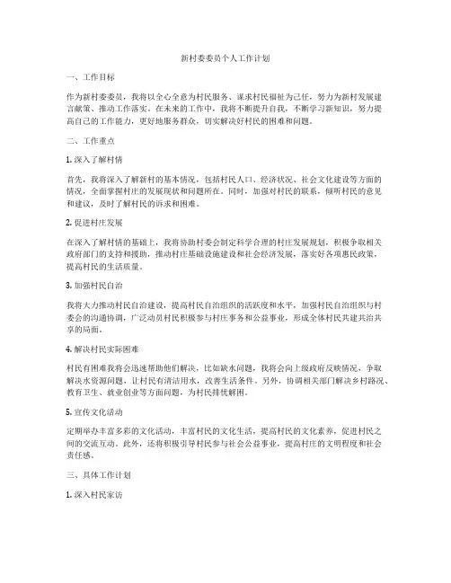 新村委委员个人工作计划