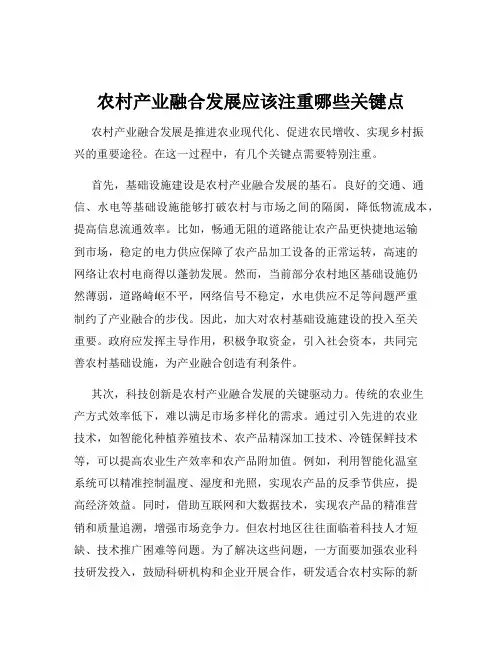 农村产业融合发展应该注重哪些关键点