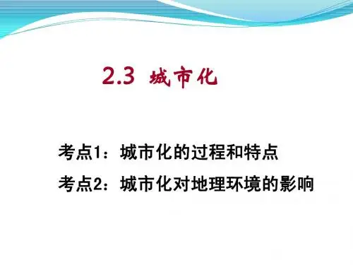 2.3城市化