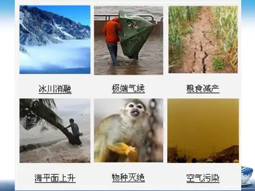第七章 缓解全球气候变化的应对方法 ppt课件