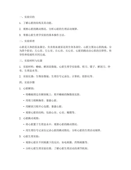 生物观察心脏实验报告