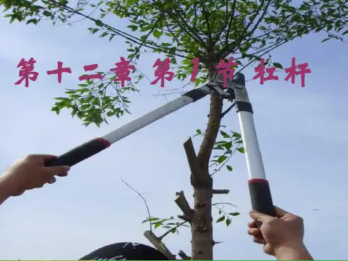 【最新】人教版八年级下册物理12.1《杠杆》课件(共17张PPT).ppt