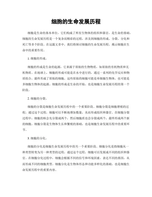 细胞的生命发展历程